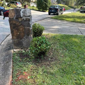 Bush Trimming by Mike G&#039;s Cuts4Less reviewed on May 10, 2024