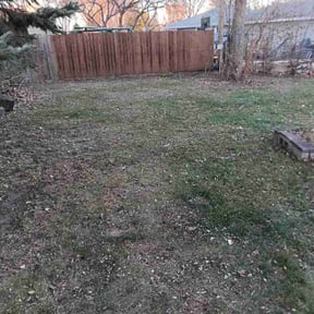 Leaf Removal by Grit and Green reviewed on August 30, 2026