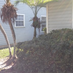 Bush Trimming by Morris Landscaping Services reviewed on August 19, 2025