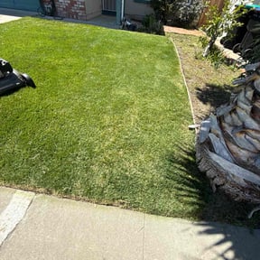 grass cutting by Felicianos Lawn Maintenance LLC reviewed on November 6, 2023