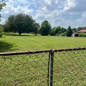 yard service by Curry's mowing reviewed on August 18, 2025