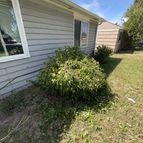 Bush Trimming by Álvarez Landscaping & Remodeling LLC reviewed on August 19, 2025