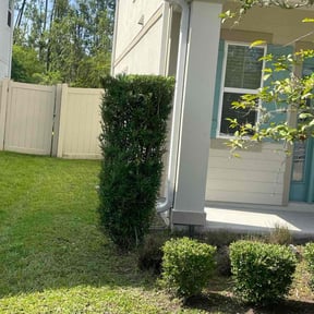 Bush Trimming by CGZ Landscaping reviewed on November 4, 2025