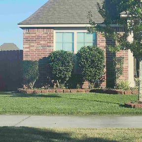 Bush Trimming by E &amp; J Lawnz reviewed on July 27, 2022