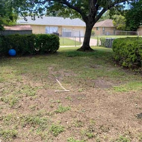 Leaf Removal by AAA Aponte Services LLC reviewed on June 5, 2026