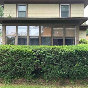 Bush Trimming by Pace Lawn and Garden reviewed on August 19, 2025