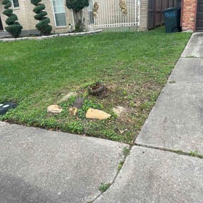 Flower Bed Weeding by Dezzutti Landscape And Aquascape LLC reviewed on March 10, 2026