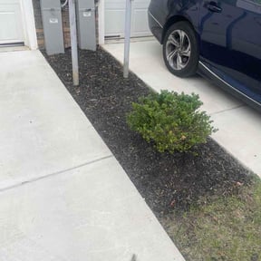 Flower Bed Weeding by Levites Care Landscaping Solutions LLC reviewed on June 21, 2026