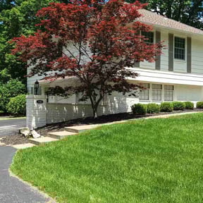 yard maintenance by My Master Garden reviewed on January 8, 2026