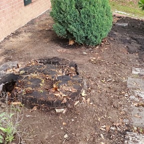 Flower Bed Weeding by MLT LAWN CARE & SERVICES reviewed on August 18, 2025