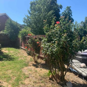 Bush Trimming by The Landscaping Neatniks reviewed on July 18, 2022