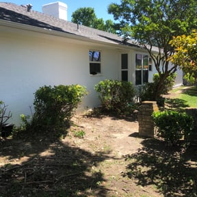 Bush Trimming by Earthly Services reviewed on November 22, 2025