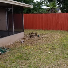 Bush Trimming by Triangle lawn care solutions reviewed on August 16, 2025