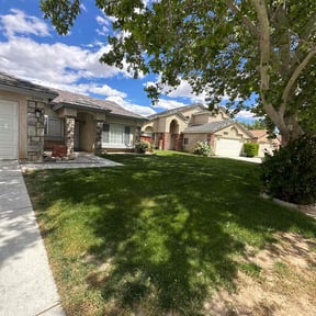 yard care by Sun valley lawn care reviewed on August 21, 2025
