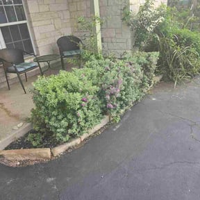 Bush Trimming by Benchmark Contracting Services LLC reviewed on August 4, 2026
