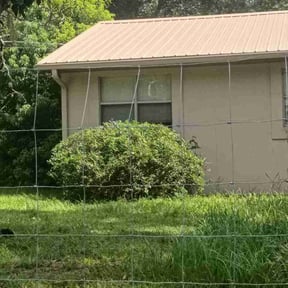Bush Trimming by B&amp;T Lawn Care reviewed on June 27, 2026