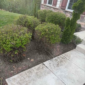 Leaf Removal by Lawn and Labor Services reviewed on May 14, 2026