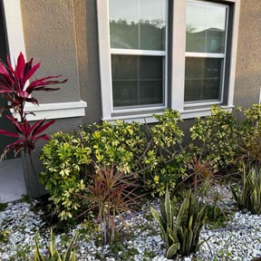 Bush Trimming by Carbon Dioxide Recyclers reviewed on August 16, 2025