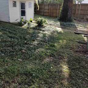 Leaf Removal by Chai'Z reviewed on June 29, 2026