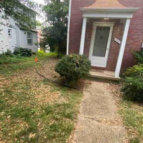 Bush Trimming by V.i..y Lawn care services reviewed on August 16, 2025