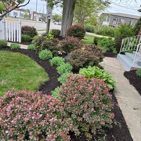 Mulching by MR. LAWN SERVICE  LLC reviewed on June 5, 2026