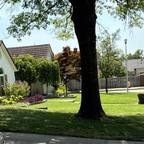 yard service by Up Cut Lawn Care reviewed on August 15, 2025