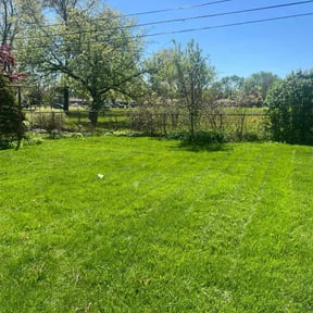 lawn service by Sweat & Soil reviewed on September 12, 2024