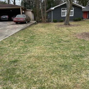 Leaf Removal by LI LawnCare reviewed on August 15, 2025