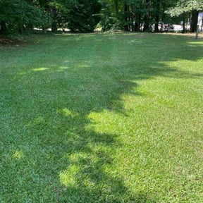gardening service by Trevors Turf Care reviewed on August 15, 2025