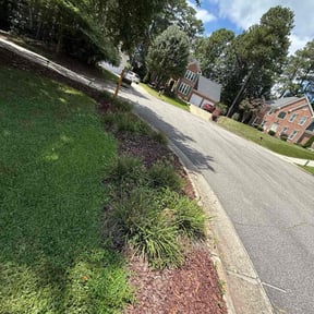 Flower Bed Weeding by Better Price Lawn Service of Central Florida, LLC reviewed on November 26, 2025