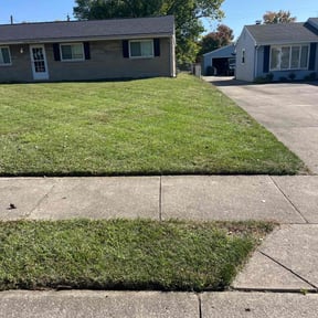 lawn maintenance by Noble Services reviewed on July 8, 2025