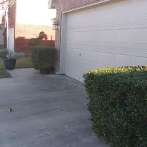 Bush Trimming by Top Notch Lawn Care& MAINTENCE reviewed on August 18, 2025