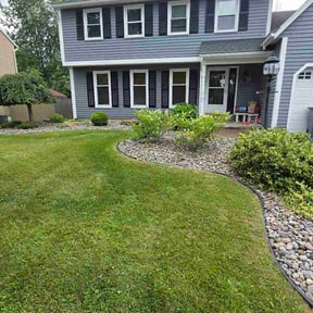 Bush Trimming by Uptown Elite Cleaning Property Services LLC reviewed on July 3, 2026