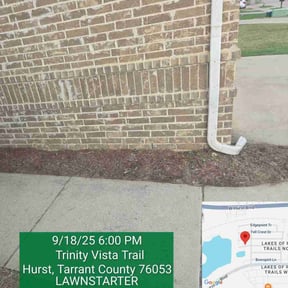 Flower Bed Weeding by Plant Based Business reviewed on November 23, 2025