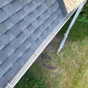 Gutter Cleaning by Dan's Lawn &amp; Landscaping reviewed on November 26, 2018