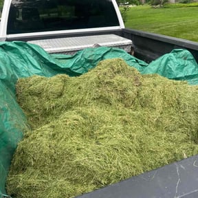 Junk Removal by Evergreens home maintenance reviewed on June 23, 2025