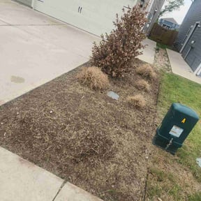 Flower Bed Weeding by DavidH15066 reviewed on October 22, 2025