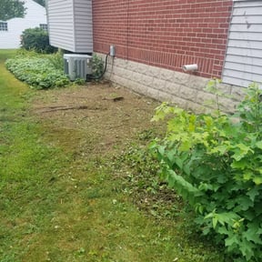 Bush Trimming by Land recovery solutions reviewed on August 19, 2025
