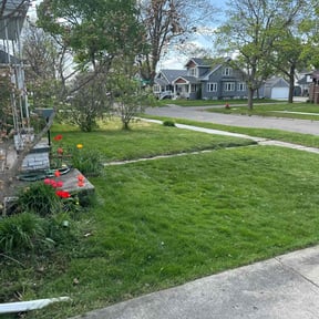 landscape maintenance by Silva Mowers reviewed on August 18, 2025