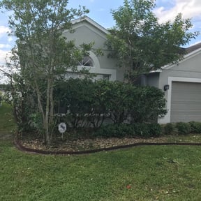 Bush Trimming by Amigos Landscaping reviewed on August 18, 2025