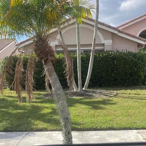 grass maintenance by Hanahan Lawn Care LLC reviewed on July 20, 2025