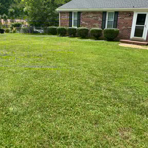 Bush Trimming by JP Landscape  reviewed on August 15, 2025