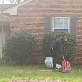 Bush Trimming by T & S Lawn Care Services reviewed on August 15, 2025