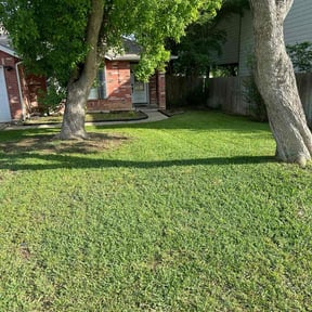 yard care by Cole's Lawn Care Service reviewed on December 25, 2025