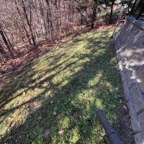 Leaf Removal by RC lawn care reviewed on July 16, 2026