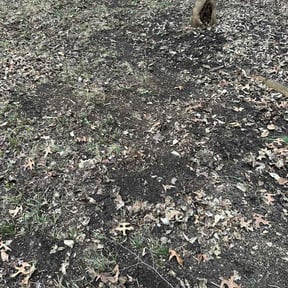 Leaf Removal by Parker Landscape &amp; Maintenance reviewed on January 20, 2026