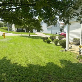 residential landscaping by Paramount Professional Services reviewed on August 13, 2025