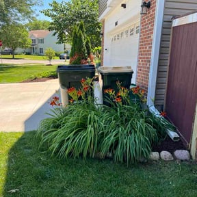 Mulching by Andrew’s Lawncare reviewed on July 14, 2026