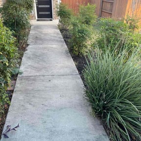 Bush Trimming by True Lawn and Tree Care reviewed on November 20, 2025