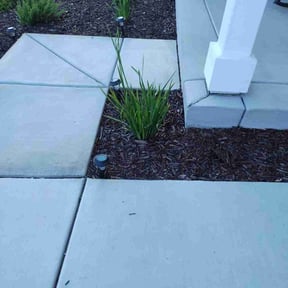Bush Trimming by ADG Lawncare Services, LLC reviewed on August 19, 2025